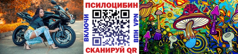 Псилоцибиновые грибы Psilocybine cubensis  наркота  Чита 